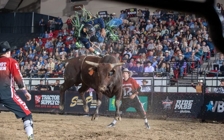 More Info for PBR Ram Challenger Series